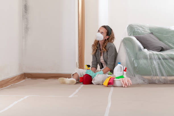 Reliable Mold Removal contractor in Princeton, TX by WQB Mold Removal